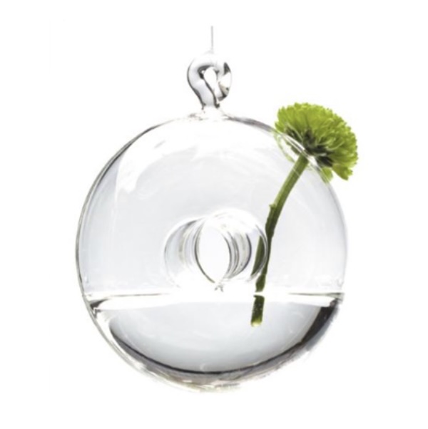 Hanging Glass Donut Terrarium