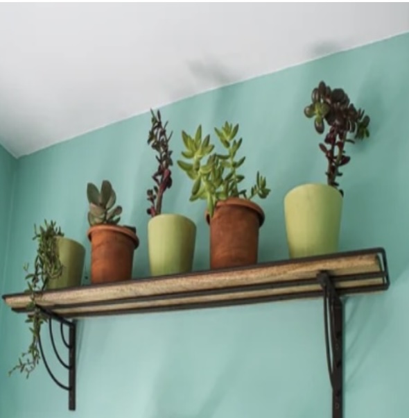 SHELVES