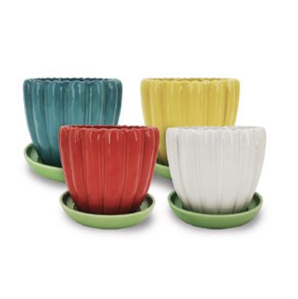 Blossom Ceramic Pot 5″ (Sold Seprately)