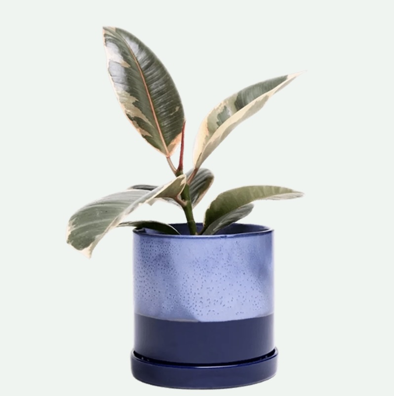 Cobalt Blue Minute Ceramic Pot with Saucer 5"
