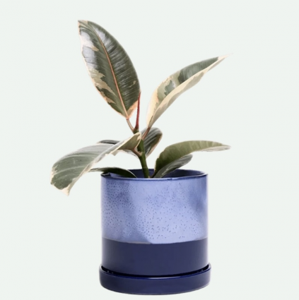 Cobalt Blue Minute Ceramic Pot with Saucer 5"