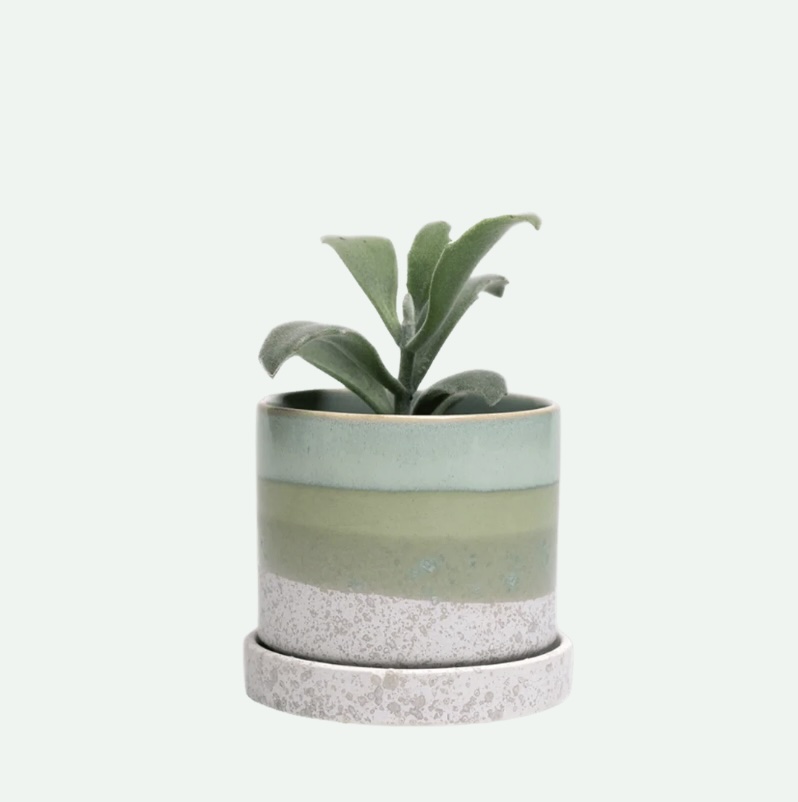 Green Cement Minute Ceramic Pot with Saucer 5"