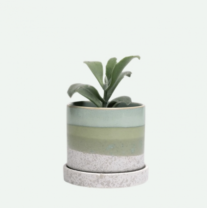Green Cement Minute Ceramic Pot with Saucer 5"