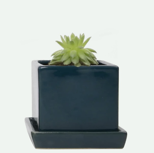 Green Blue Cube Ceramic Pot with Saucer 3"