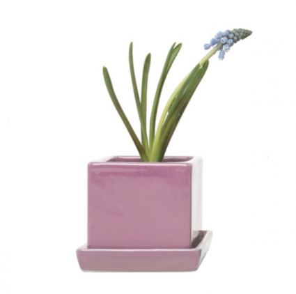 Pink Cube Ceramic Pot with Saucer 3″
