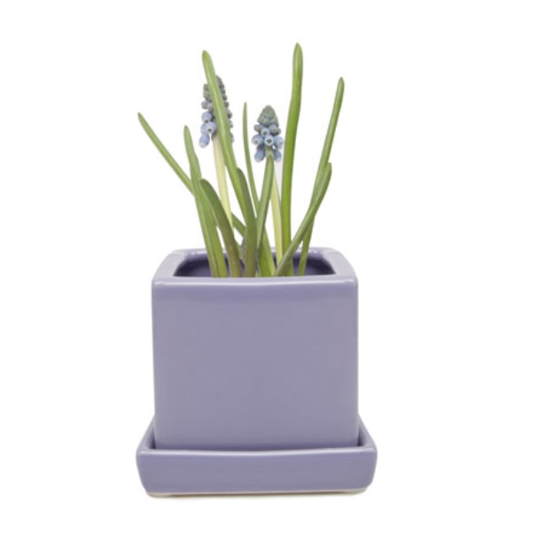 Periwinkle Cube Ceramic Pot with Saucer 3″