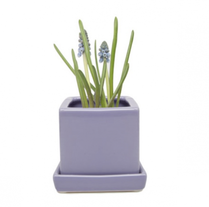 Periwinkle Cube Ceramic Pot with Saucer 3″
