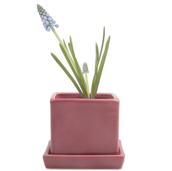 Raspberry Cube Ceramic Pot with Saucer 3″