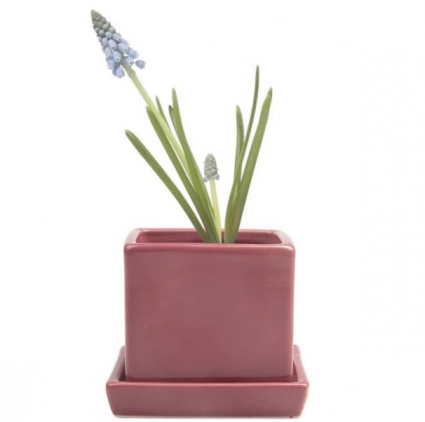 Raspberry Cube Ceramic Pot with Saucer 3″
