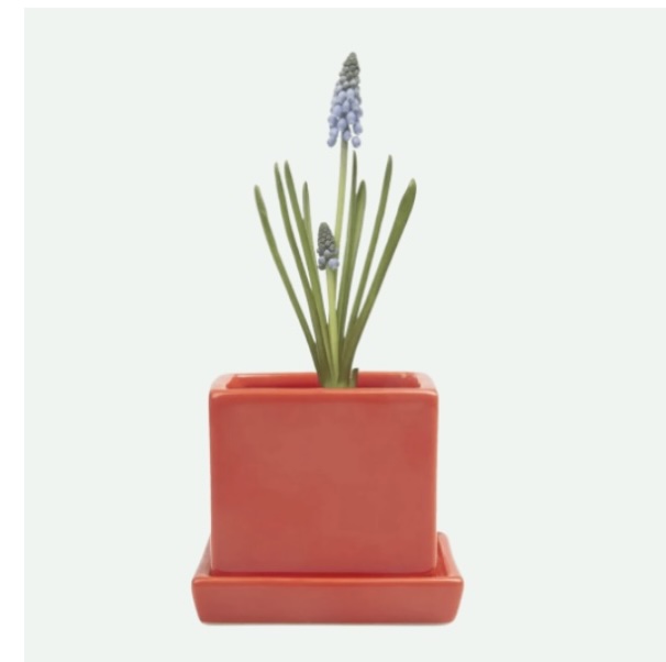Tomato Cube Ceramic Pot with Saucer 3"