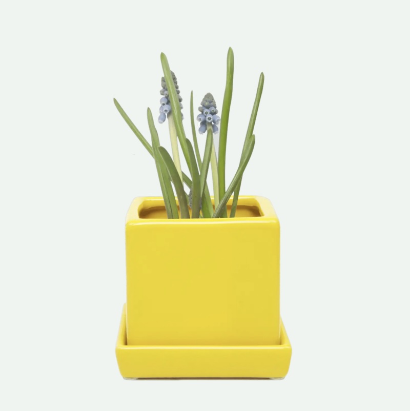 Yellow Cube Ceramic Pot with Saucer 3"