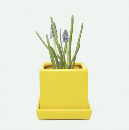 Yellow Cube Ceramic Pot with Saucer 3"