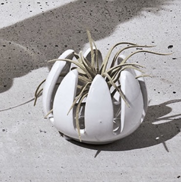 Gideon Grassy Ceramic Air Plant Holder&nbsp;&nbsp;2.5"