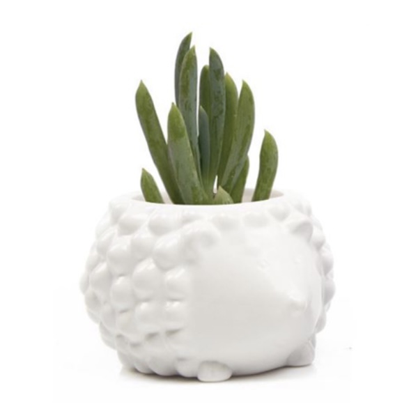 White Hedgehog Ceramic Planter 4.5"