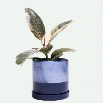 Cobalt Blue Minute Ceramic Pot with Saucer 3"
