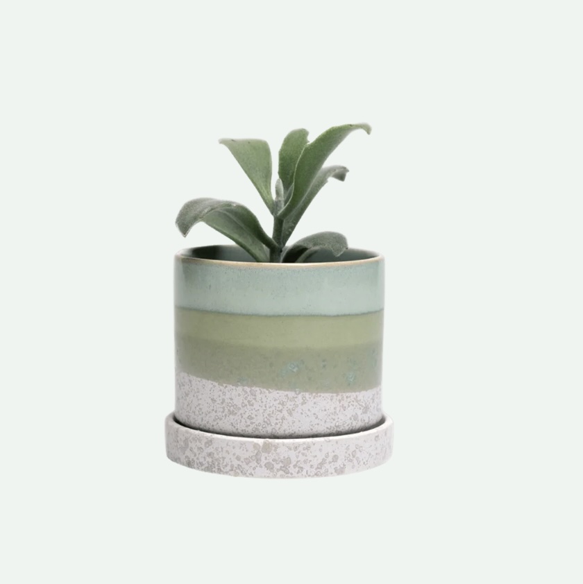Green Cement Minute Ceramic Pot with Saucer 3"