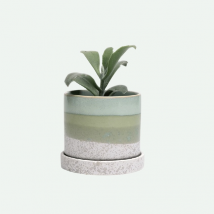 Green Cement Minute Ceramic Pot with Saucer 3"