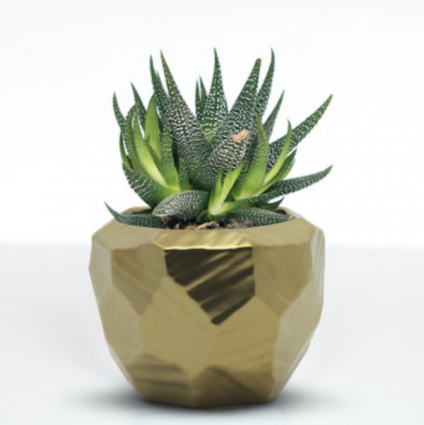 Medium Geometric Gold Ceramic Pot 5"