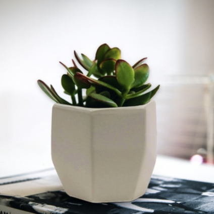 Geometric White Ceramic Pot  4.2"