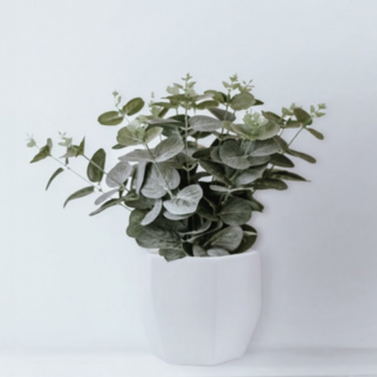 Large Geometric White Ceramic Pot 6.3"