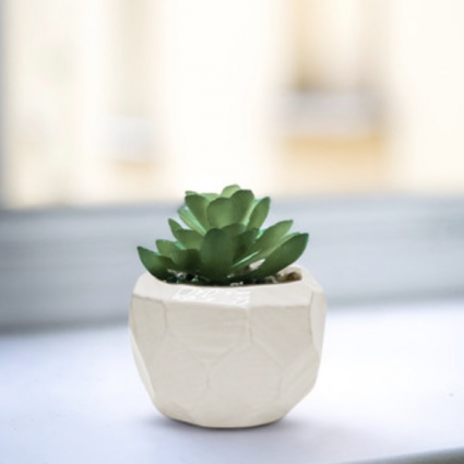 Low Geometric White Ceramic Pot 4"
