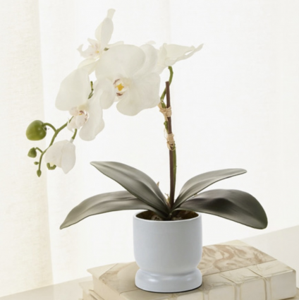 Small White Ceramic Modern Pedestal Bowl 4"