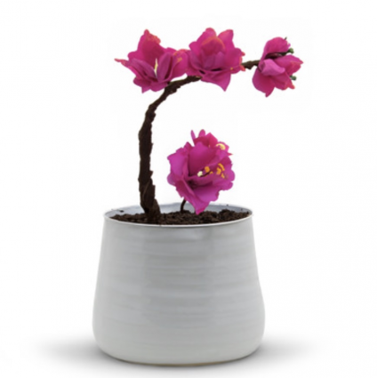 Large White Ceramic Bowl Pot 7.3"