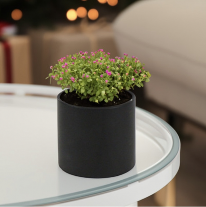 Black Ceramic Cylinder Vase 5.5"