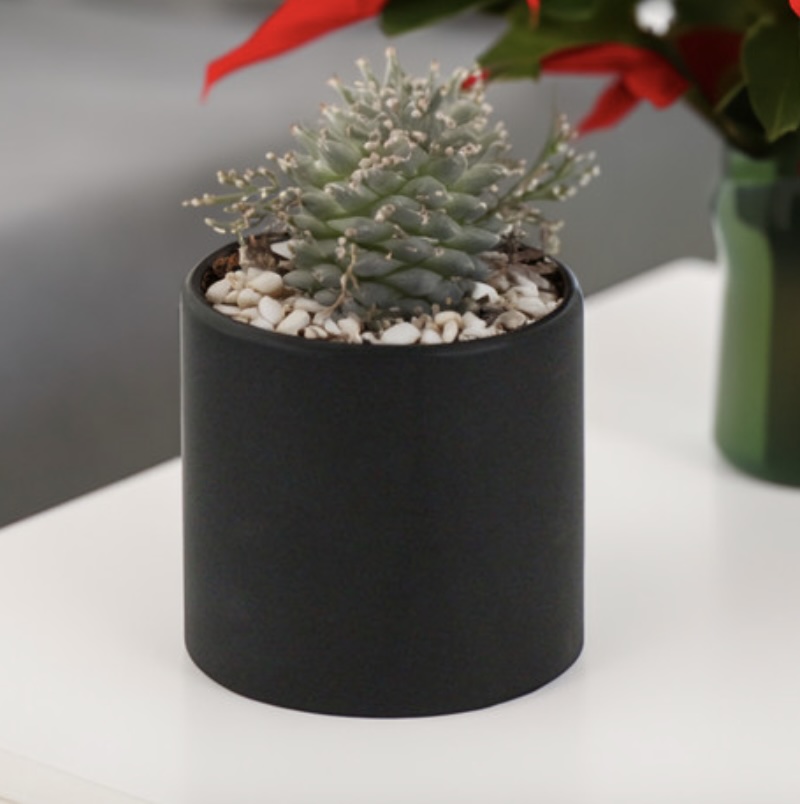 Black Ceramic Cylinder Vase 6.5"