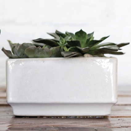 Verge Low Off White Ceramic Pot  6.5"
