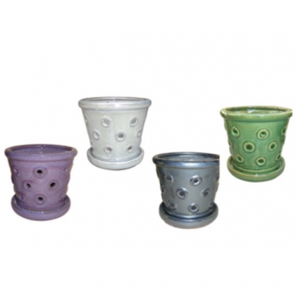 Ring Orchid Pot with Saucer 5"