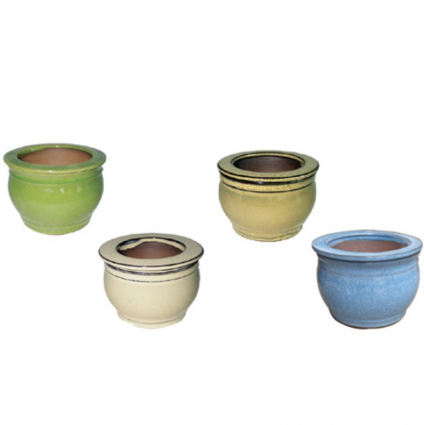 Fishbowl Self-Watering Pot 6"