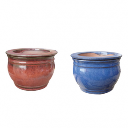 Fishbowl Self-Watering Pot 8"
