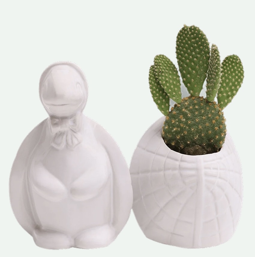 White Turtle Ceramic Planter 5.5"