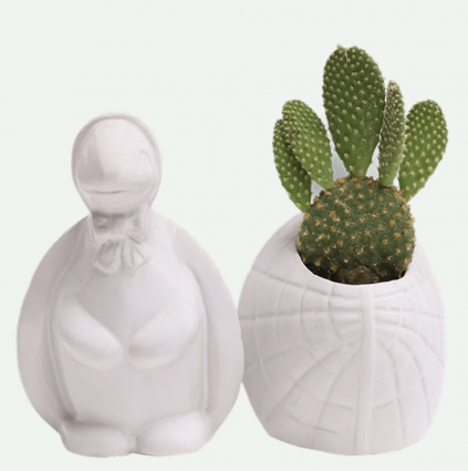 White Turtle Ceramic Planter 5.5"