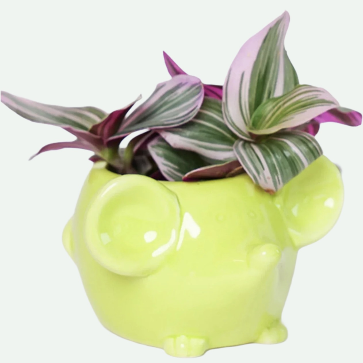 Chartreuse Mouse Ceramic Planter 5"