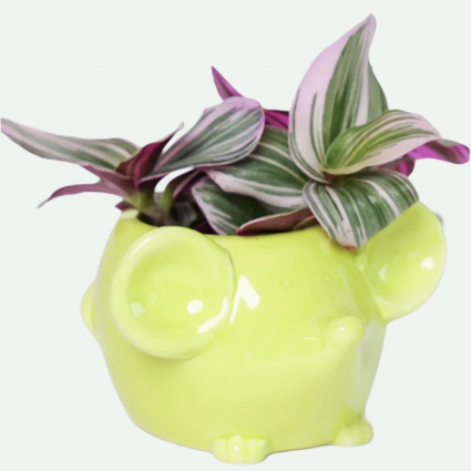 Chartreuse Mouse Ceramic Planter 5"
