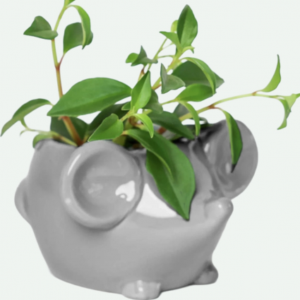 Grey Mouse Ceramic Planter 5"