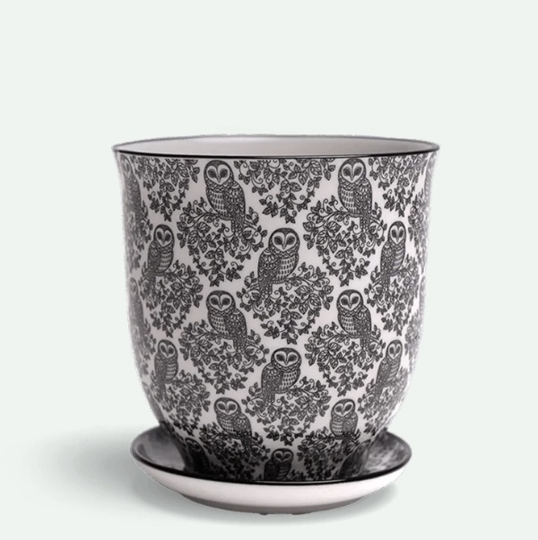 Black Owls Porcelain Pot with Saucer 4.25"