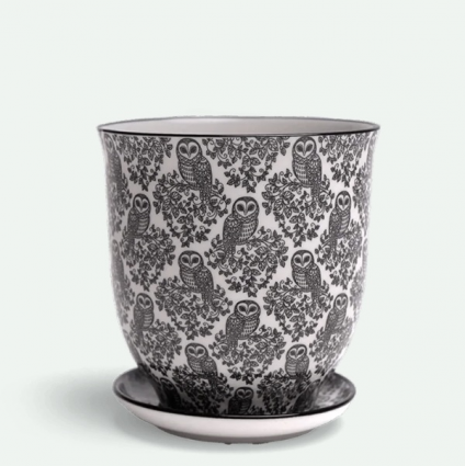 Black Owls Porcelain Pot with Saucer 4.25"