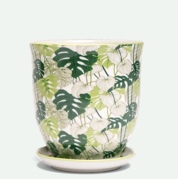 Monstera Porcelain Pot with Saucer 4.25"
