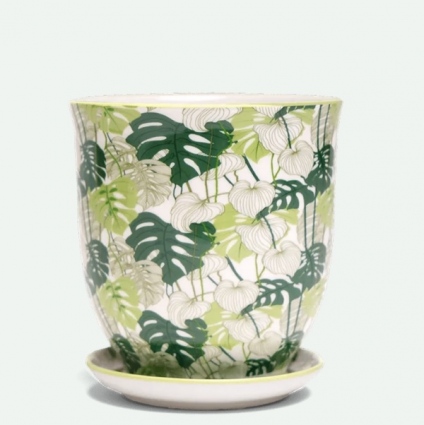 Monstera Porcelain Pot with Saucer 4.25"
