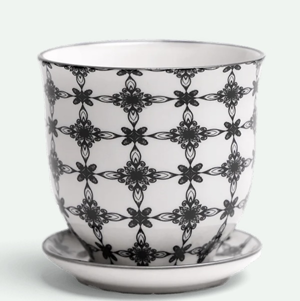 Black Stars Porcelain Pot with Saucer 4.25"