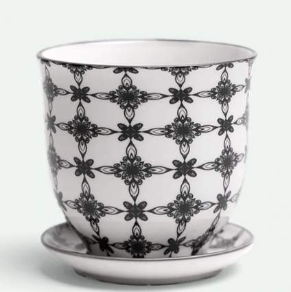 Black Stars Porcelain Pot with Saucer 4.25"