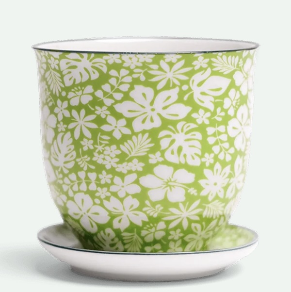Green Garden Porcelain Pot with Saucer 4.25"