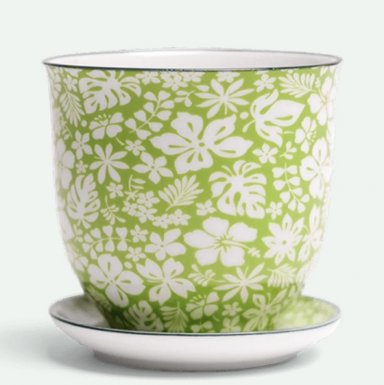 Green Garden Porcelain Pot with Saucer 4.25"