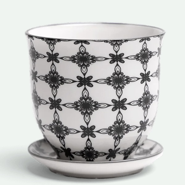 Black Stars Porcelain Pot with Saucer 3.25"