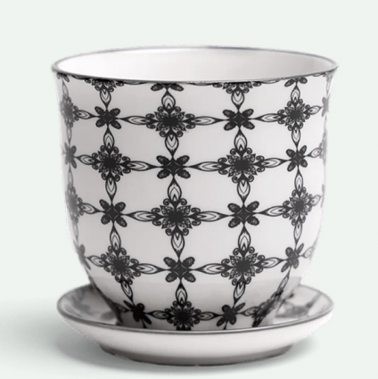Black Stars Porcelain Pot with Saucer 3.25"