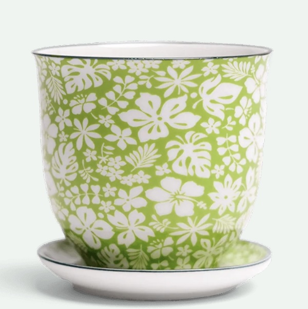 Green Garden Porcelain Pot with Saucer 3.25"