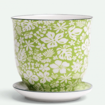 Green Garden Porcelain Pot with Saucer 3.25"